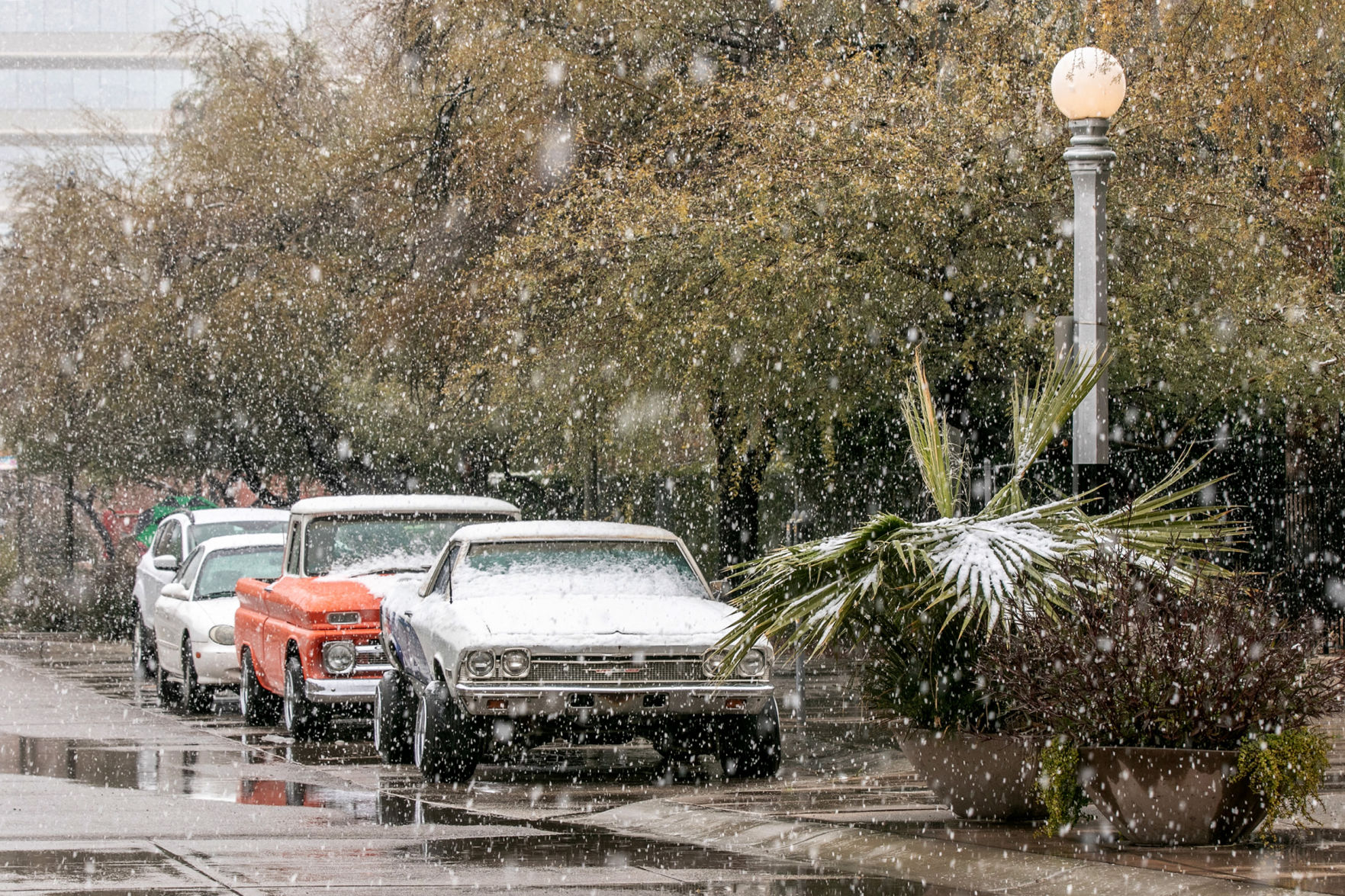Snow in Tucson